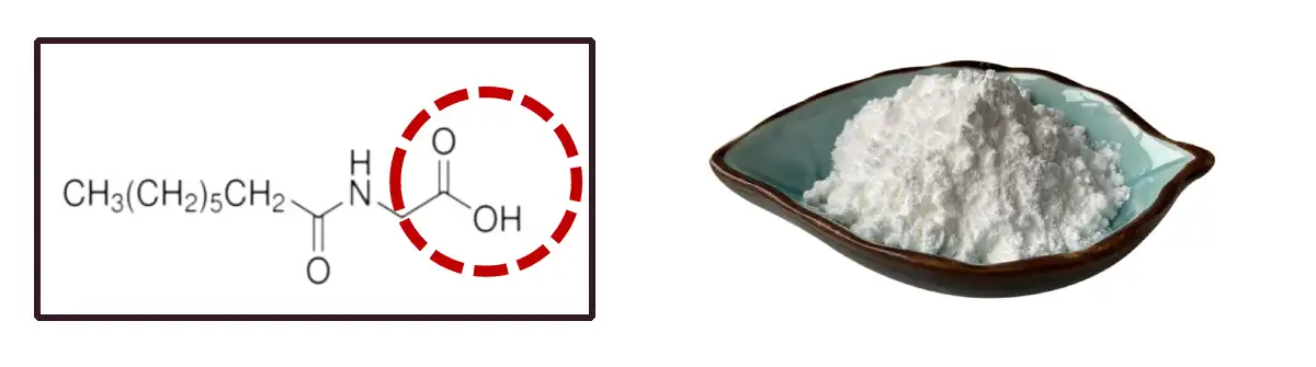 Capryloyl Glycine Powder.jpg